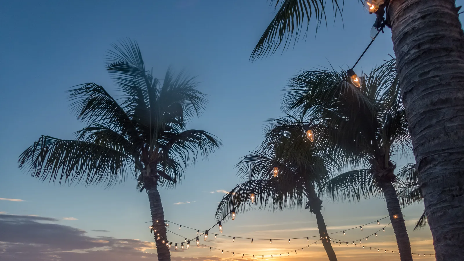 What to Do on the Gold Coast This October: 13 Picks From Jupiter to Zoo Miami